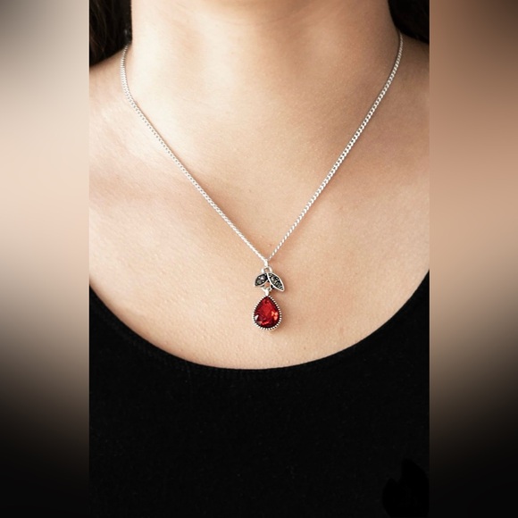 Paparazzi Necklace - Picture 1 of 6